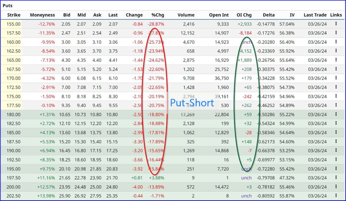 Option Chain mit Open Interest, Tesla TSLA, Exp. 19.04.2024, PUT-Option
