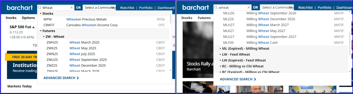 Screenshot: Suchen in barchart.com