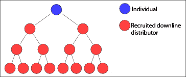 Network Marketing und Trading – der schnelle Weg zum Reichtum? (2026) Multi Level Marketing im Trading (MLM), Aufbau einer Downline