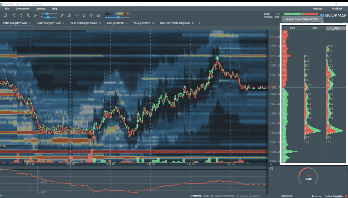 Bookmap Erfahrungen: Wie gut ist Orderflow & Volumen Trading Software? (2026) Das Bild zeigt, wo das Orderbuch in der Bookmap Software zu finden ist.